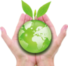 sustainable.png